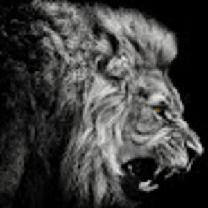 Meet your Posher, Chuck